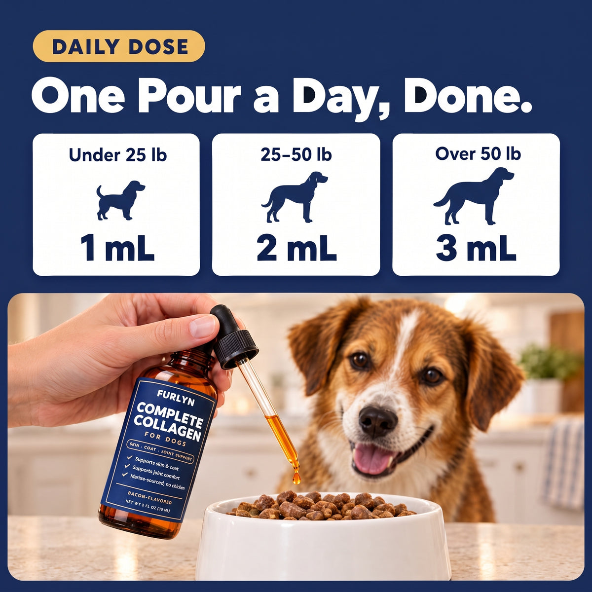 Complete Collagen for Itchy Dogs: Skin, Coat & Joint Support With Salmon Oil