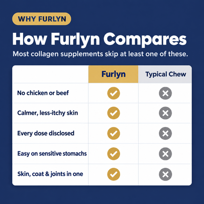 Complete Collagen for Itchy Dogs: Skin, Coat & Joint Support With Salmon Oil