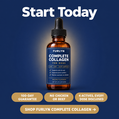 Complete Collagen for Itchy Dogs: Skin, Coat & Joint Support With Salmon Oil
