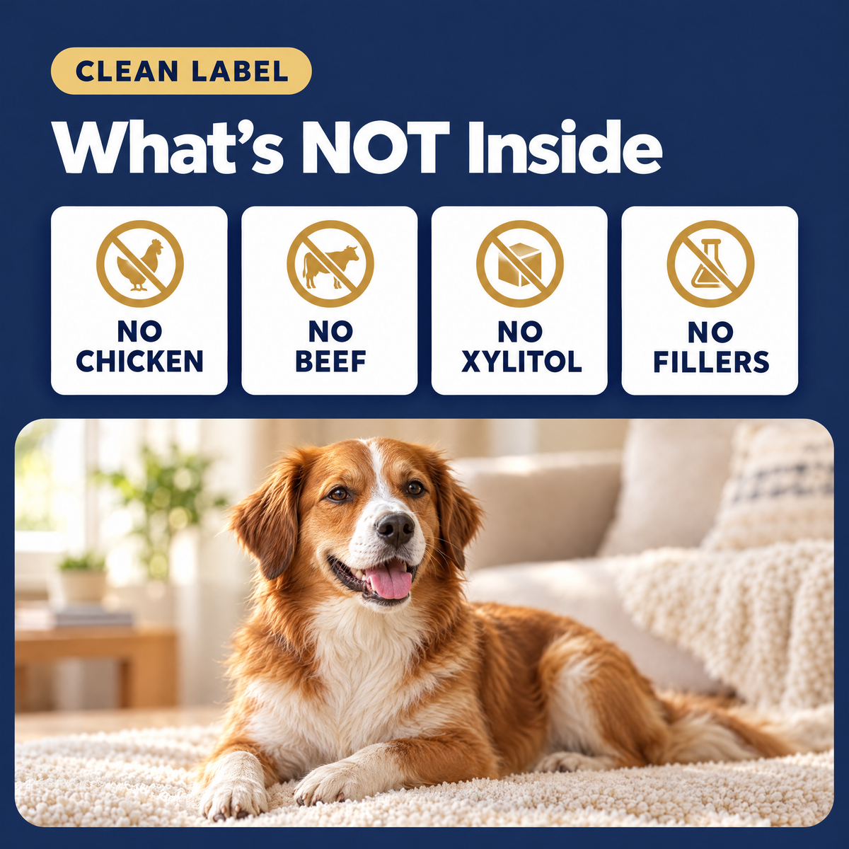 Complete Collagen for Itchy Dogs: Skin, Coat & Joint Support With Salmon Oil